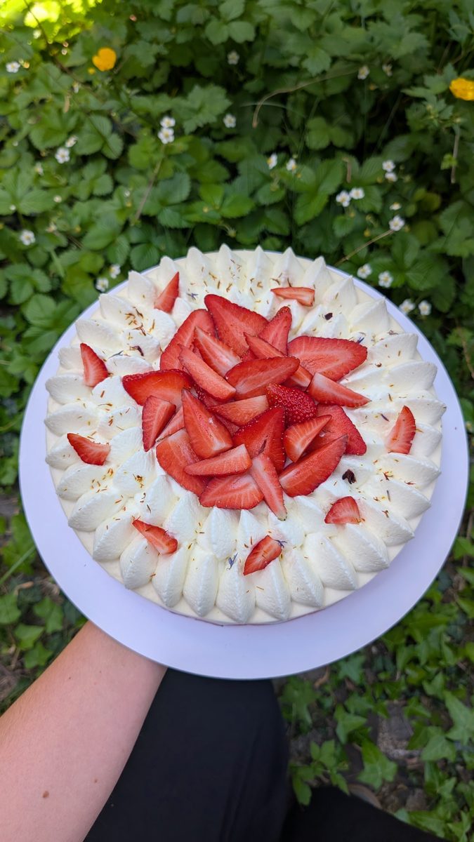 Gâteau à la crème et aux fraises fraîches